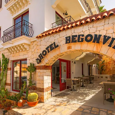 Begonvil *